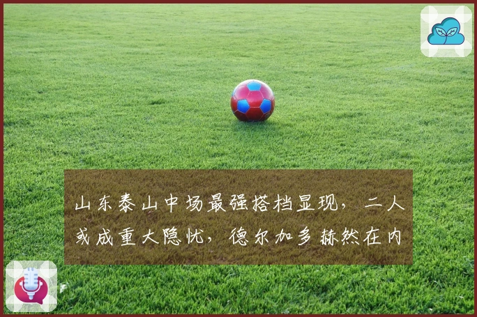 山东泰山中场最强搭档显现，二人或成重大隐忧，德尔加多赫然在内
