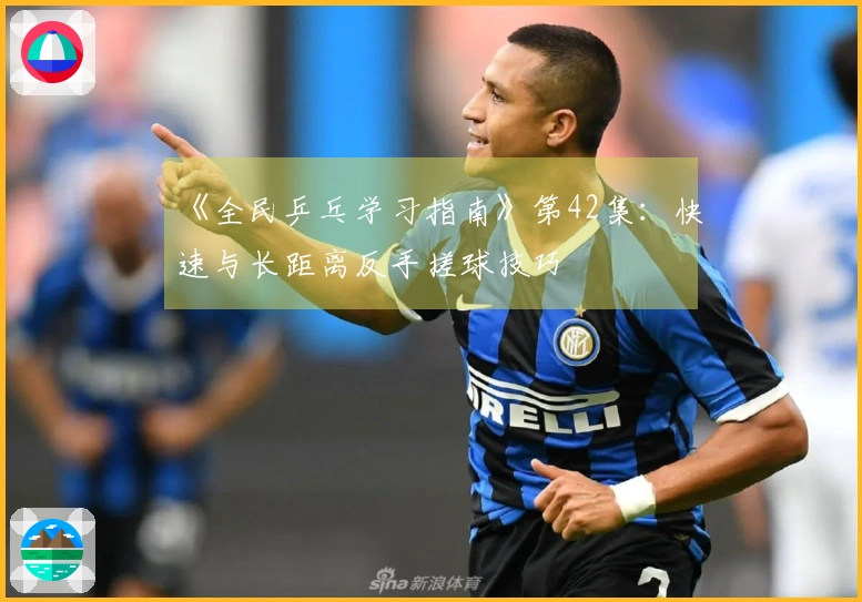 《全民乒乓学习指南》第42集：快速与长距离反手搓球技巧