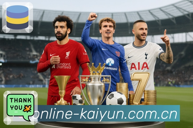 开云平台展示图